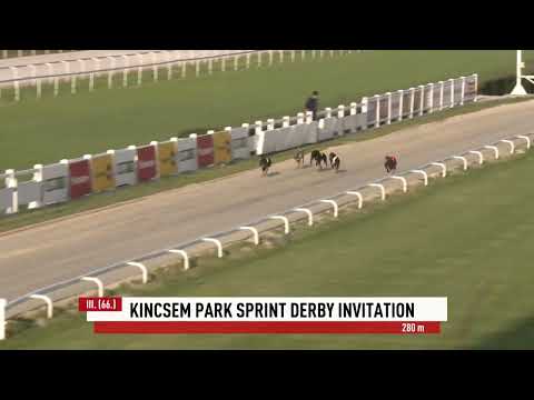 2023.06.30 3. FUTAM - KINCSEM PARK SPRINT DERBY INVITATION