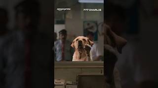 Download lagu 777 more reasons to watch 777 Charlie 🐕 | Rakshit Shetty | #primevideoindia mp3 Download lagu 777 more reasons to watch 777 Charlie 🐕 | Rakshit Shetty | #primevideoindia mp3