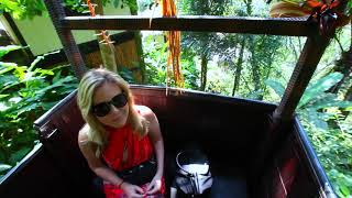 NANDINI JUNGLE RESORT AND SPA