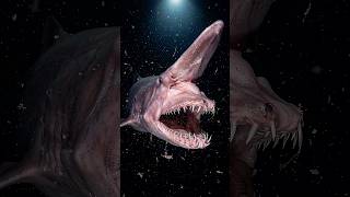 🦈 This Shark Shoots Its Jaws Out of Its Mouth Like a Slingshot 🤯