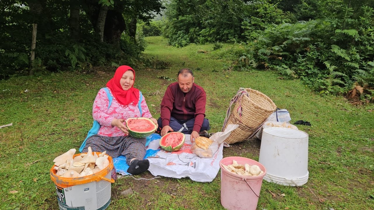 ‼️ORMANDA BEKLENMEDİK BİR SOHBET… YABANCILARLA TANIŞTIK, GÜZEL BİR GÜN GEÇİRDİK. 🌲✨
