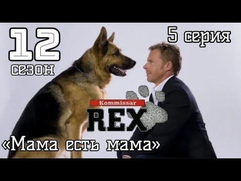 Комиссар Рекс, 12 сезон, 5 серия «Мама есть мама»
