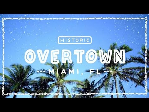 miami beach tours