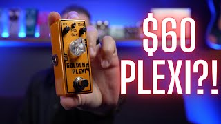 This $60 Plexi Pedal RIPS! Tone City Golden Plexi!