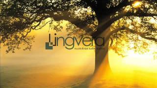 Thomas Newman - Out Of Bullets (Muzika Studijoms)