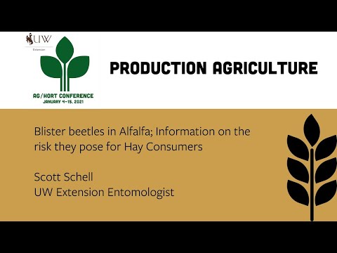 image-How do you get rid of blister beetles in alfalfa?