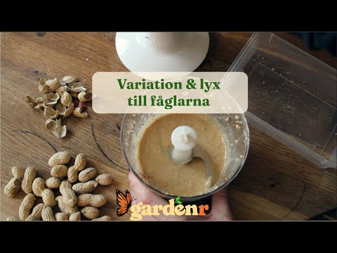 Variety and luxury for the birds - Gardenhacks by GardenR