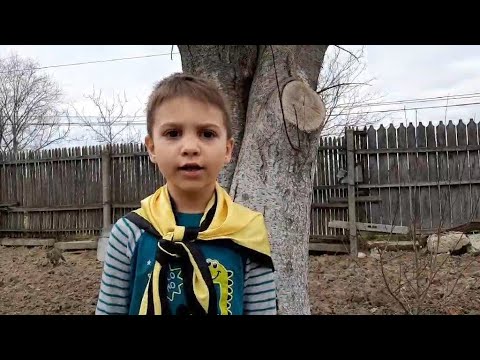 Fii vocea Moldovei – Daniel Ganea "Mama" #7