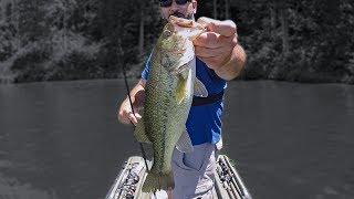 Early Summer Bass Fishing (4 Hours to Figure Them Out!)