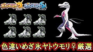 ヤトウモリ ポケットモンスター オニゴーリ エンニュート ズガイドス