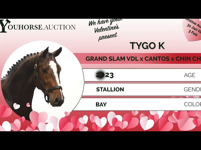 Tygo K