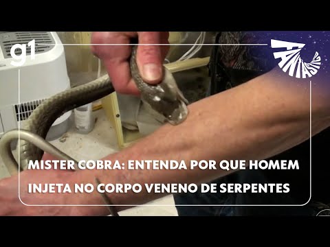 Fantástico: Mister Cobra: entenda por que homem injeta no próprio corpo veneno de serpentes