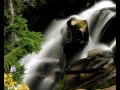 Electric Light Orchestra - Waterfall (instrumental ...