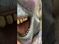 JACK FROST’S MOUTH IS TEARING?!?! #halloween #jackfrost #animatronic #christmas