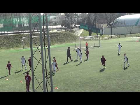 Vorbereitungsspiel gegen Red Star - 3.3.2019 (17:13 min)