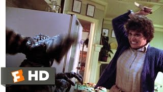 Gremlins in the Kitchen - Gremlins (3/6) Movie CLIP (1984) HD