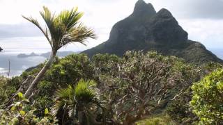 preview picture of video 'Lord Howe Island, Australia'