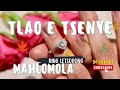 MAHLOMOLA TLAO E TSENYE