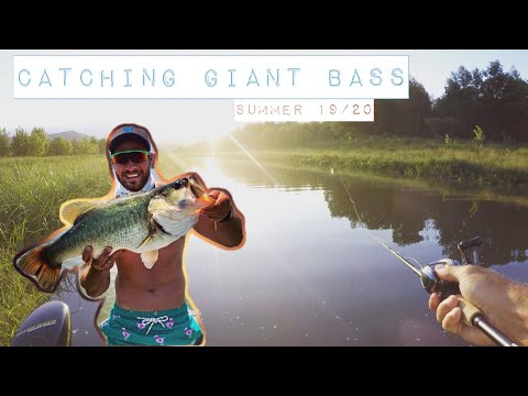 MASSIVE BASS CAUGHT AT Albert Falls  KZN, South Africa.