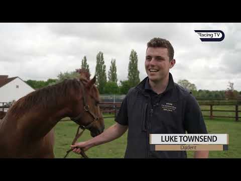This Racing Life - Stradivarius, The National Stud and Rab Havlin  - Racing TV