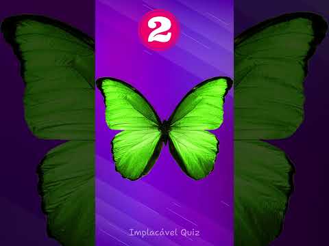 Escolha uma borboleta para descobrir seus pontos fortes e fracos ?✨