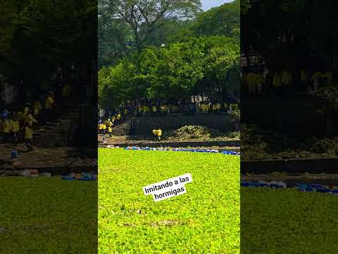 Como hormigas se ven #chalatenango #sansalvador #elsalvador