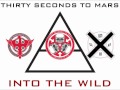 30 Seconds To Mars - Into The Wild (Megamix ...