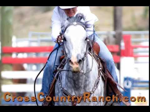 Cross Country Ranch presents Best Advice & Mulberry Fame