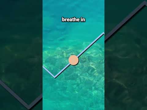 Heart Coherence Breathing Exercise (6-6)