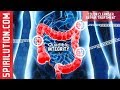 (Healing Music) ★COLON CLEANSER REPAIR AND ENERGIZING FREQUENCY FORMULA★