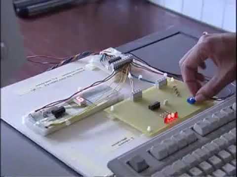 Una giornata al Cesaris di Casalpusterlengo 1 2