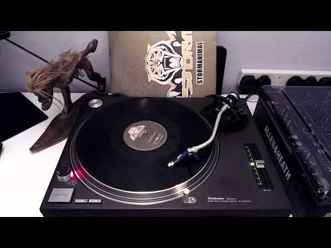 Storm - Stormanimal (happy people in the morning mix)