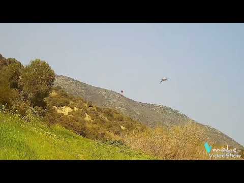 2023 Cyprus cikla avı hunting turdus #beretta#  team *shotkam*