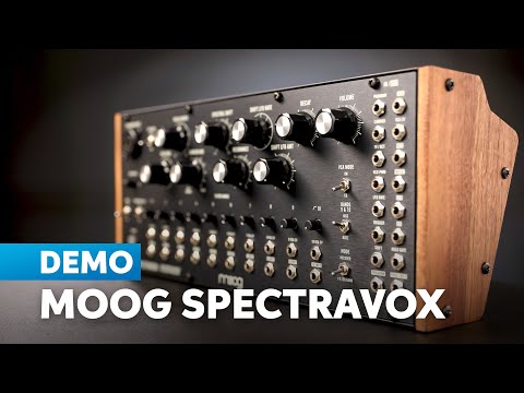 Moog Spectravox Semi-Modular Analog Spectral Processor 2024 - Present - Black with Wood Sides image 9