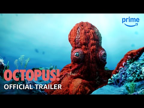 Thumbnail of the video: Official Trailer