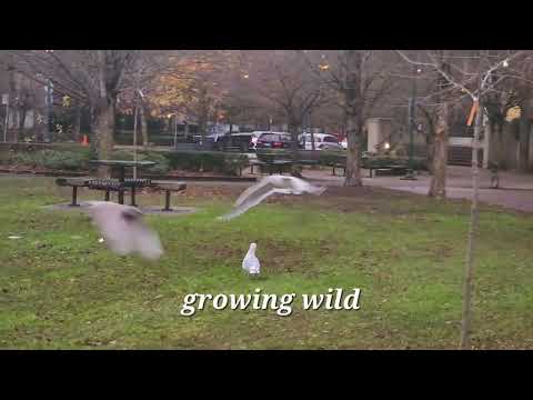 Heaven's Lucky to Have You (lyrics) by Jonathan Lee #christianyoutuber  #missingmom