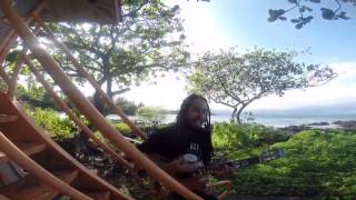 The Steppas - Fatty Fatty