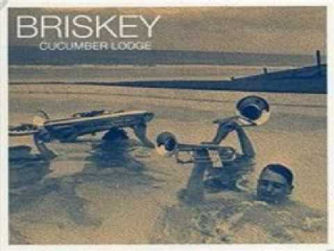 briskey - conchitas cabin [audio]