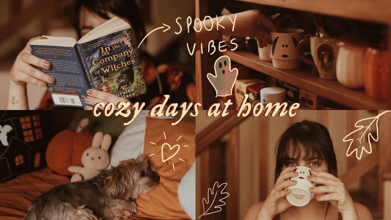 🍂 cozy vlog: dias calmos em casa, leituras e algumas comprinhas