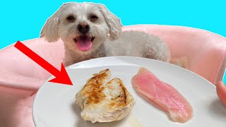 DO PUPPIES PREFER RAW OR COOKED CHICKEN??
