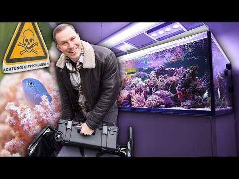 Private AQUARIEN + gefährliche Reptilen *30 Tage Neytrop Vlog* 😱