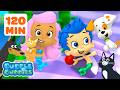 Molly Gil S Best Pets Ever Every Animal Bubble Guppies