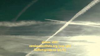 CHEMTRAIL HUMANOID ZOMBIE ALERT!!