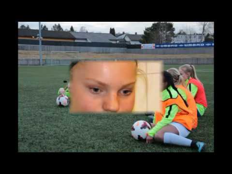 Telemark kretslag J14.2016/17 Partr I.