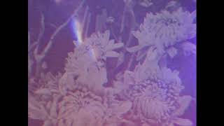 //apology-austin mahone// • slowed+pitched with lyrics•