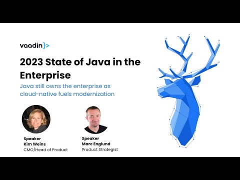 Webinar: Trends for Java in the enterprise and strategies for 2023