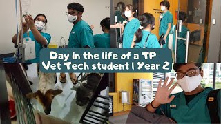 Day in the Life of a TP Vet Tech Student | Year 2