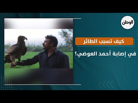 كيف تسبب الطائر في إصابة أحمد العوضي؟