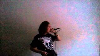 Lamb of God - Visitation vocal cover.