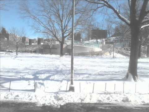 Winter in Harlem -  Ray Roberts 2013 0001